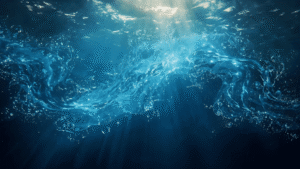 Marine Sustainability Solution in Singapore